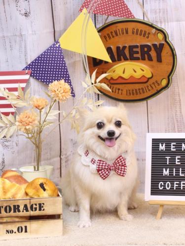 20240920ふうちゃん